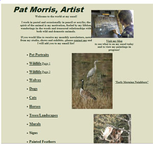 ACE Website Pat Morris